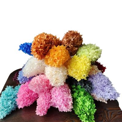 China Natural Dried Preserved Flowers Real Touch Natural Touch Preserved Wooden Tower Shape Big Leveas Hydrangea for sale