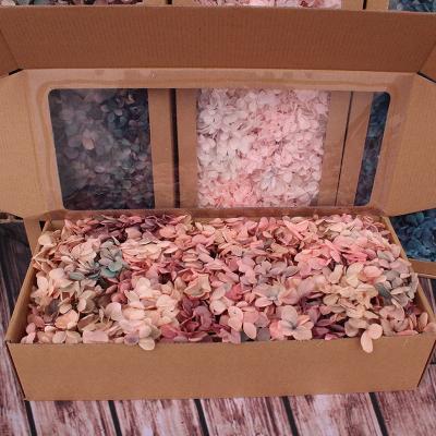 China Natural Touch DIY Gift Dried Natural Hydrangea Flowers Preserved Flowers Cardboard Box 100g Hydrangea Petals for sale