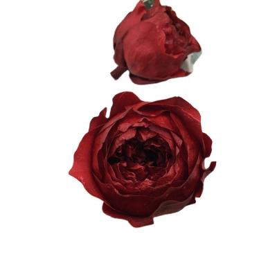 China Real Rose Fresh preserved romantic and lifelike rose feel immortal fruit preserve Austin rose main wedding decoration for sale