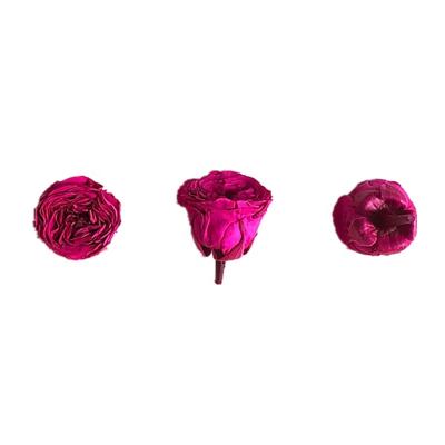 China Romantic Preserved Real Rose Factory Sells Valentine's Day And Wedding Wholesale 2 Or 3 Cm Real Iced Rose Flower Heads With More Than 50 Colors for sale