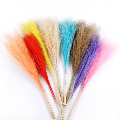 China Touch Kunming Flower Ponytail Beater Natural Supply Dried Pampas Grass Small For Office Hotel Holiday Decoration for sale