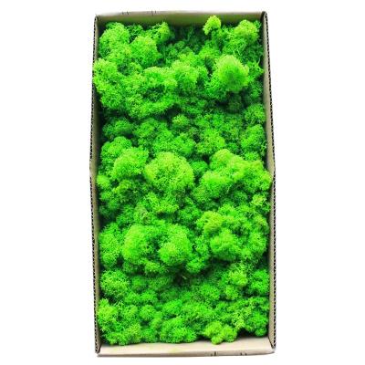 China Wholesale high quality fresh preserved artificial green moss of natural touch Yunnan moss wall decoration for sale