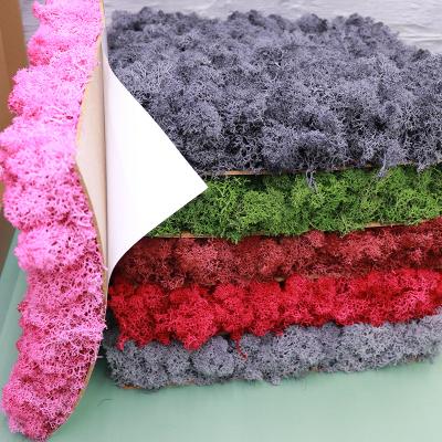 China Wholesale Natural Preserved Green Moss Panel Decoration Immortal Moss True For Background Wall Decoration for sale