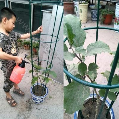 China Home& Garden tomato cone cage support. Plant Support Tapered Cage for sale