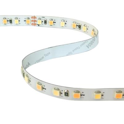 China LANDSCAPE TDC 2835Led Bicolor White Led Strip 2700-6500K Two Double Color Led Strip Light for sale