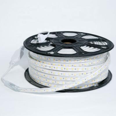 China LANDSCAPE Warm White Led Neon Strip DMX 50ft 120 Volt 100M Lights LANDSCAPE High Voltage Power 110v 120v for sale