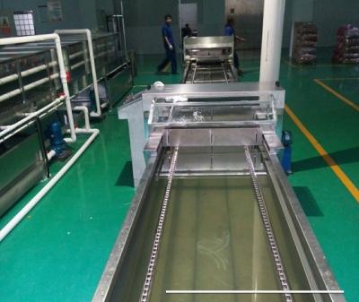 China Factory L10m Automatic Hydrographic Transfer Printing Machine Water Dipping Tray for sale