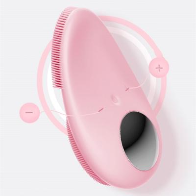 China 2021 high quality cheap hot electric facial massager DEEP CLEANING price import double heads cleaning brush for sale