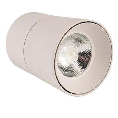 China 360 Degree 10w Rotatable Outdoor Mounted Led Ceiling Downlight 360 Indoor Led Downlight Rotatable Easy Installation for sale