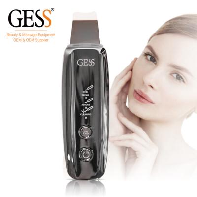 China Hot Sale GESS690Silver Ultrasonic Skin Scrubber Blackhead Pore Deep Cleansing Clean Remover for sale