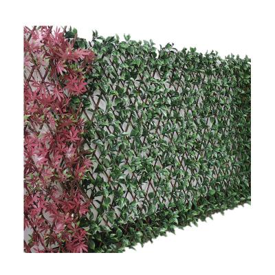 China Easily Assembled High Quality Artificial Plastic Sheet Wall Fence 1m*2m for sale