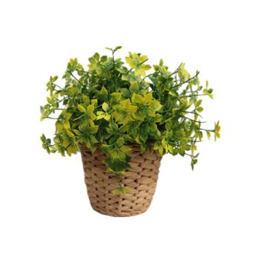 China Modern Indoor Decorative Package Artificial Potted Plants for sale