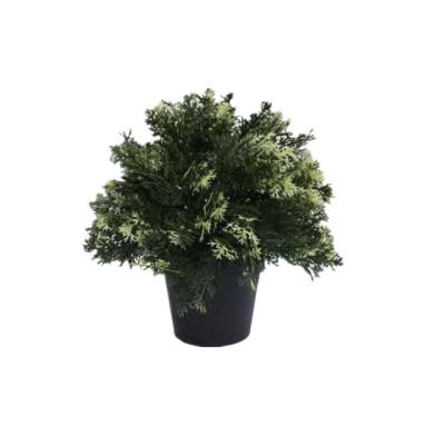 China Wholesale Modern Plant Small Artificial Green Plant With Pot for sale