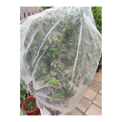 China Mesh Agricultural HDPE Anti Bird Netting for sale