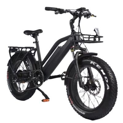 China Aluminum Alloy Ready To Ship 20' Long Range 48v 750w Fat Tire 4 City Electric Bike Aluminum Alloy Frame Using Best Battery for sale