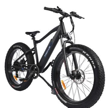 China Aluminum Alloy Ready to Ship 26 4 0 Speed ​​Shimano Altus 7 Brushless Motor Fat Tire Mountain Electric Bike 48V/750W Gabor High Max Speed for sale