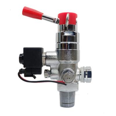 China Fire Detecting and Extinguishing Hot Sale 15-20 Mpa Cheap Custom Brass Valve Fire Detector Extinguishing Valve for CO2 Fire Extinguisher for sale