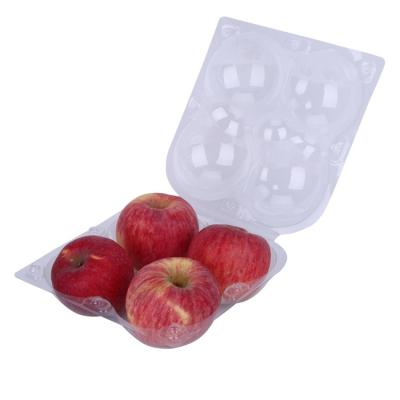 China Disposable Apple Cans Disposable Food Storage Container Set Plastic With Transparent Lid for sale