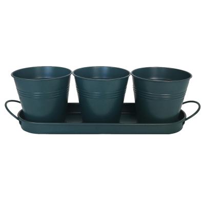 China wholesale elegant metal tray with grass pots flower pots/planter tray with round grass pots planting flower for sale