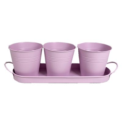 China Hot Modern Mini Amazon Flower Pots With A Tray Balcony Garden Plant Metal Iron Planter For Home Decor for sale