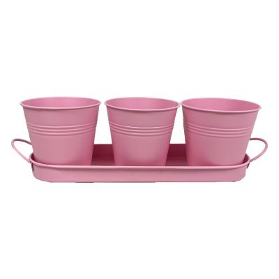 China Modern INS Cast Iron Flower Mini Herb Pots With A Tray Balcony Garden Plant Metal Iron Planter For Home Decor for sale