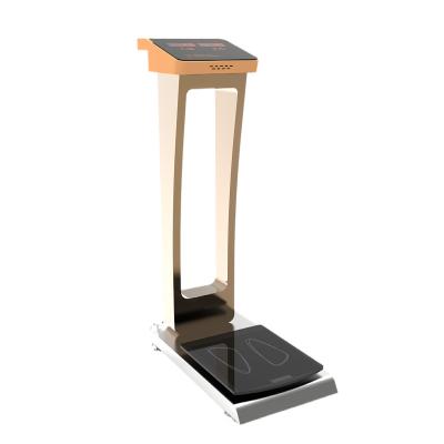 China 36*75*110cm Overall Size Standing Medical Adult Body Weight Scale with 0.1kg Accuracy for sale