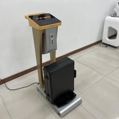 China Coin Weight Scale for Precise Human Body and Luggage Baggage Weighing 300kg Rated Load for sale