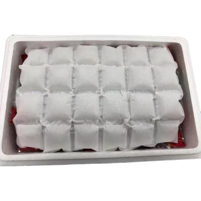 China Cooling gel ice pack sheet cold freezer techni ice bag for food OEM flexible cool pack for sale