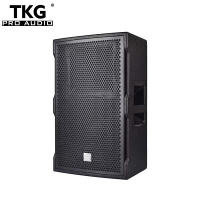 China Active Karaoke Player TKG 350W DJ 12 Inch TT12M Sound System Speaker For Karaoke for sale