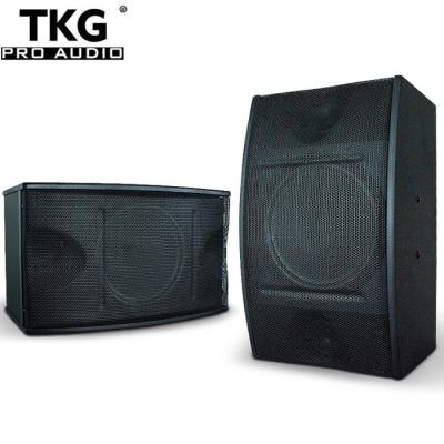 China Karaoke player TKG 150W 10 inch 10