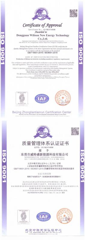 ISO9001 - Dongguan Wiltson New Energy Technology Co., Ltd.