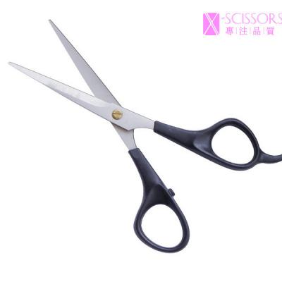 China Economical Plastic Handle Hair Cutting Scissor B01 for sale