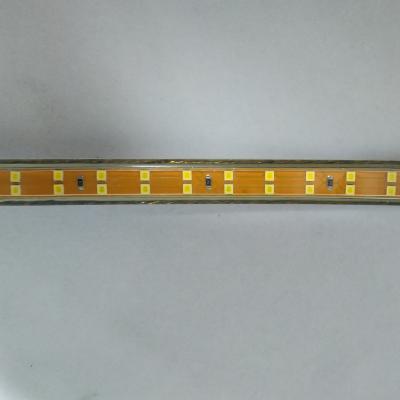 China Theme Park SMD 2835 LED Chip 180leds/m 12MM Width 110V 220V 11W Two Line Strip Light for sale