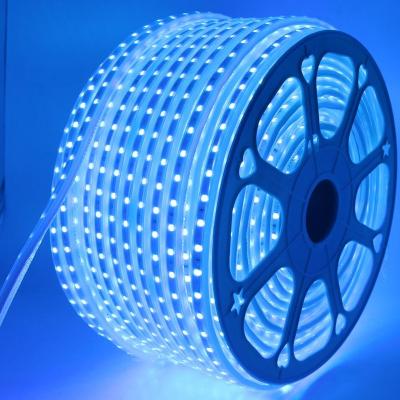 China Theme Park Blue Tooth RGB 5050 Remote Controller 110V /220V Waterproof LED Strip Light for sale