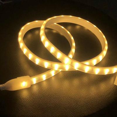 China Theme Park 5050 RGB Blue Tooth Controller 110V /220V LED Strip Light Remote Waterproof Strip Lights for sale