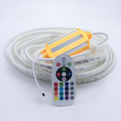 China Theme park cheap price neon cable 220V 5050 SMD 100m RGB outdoor flexible waterproof led strip/led strip lights/led light strip for sale