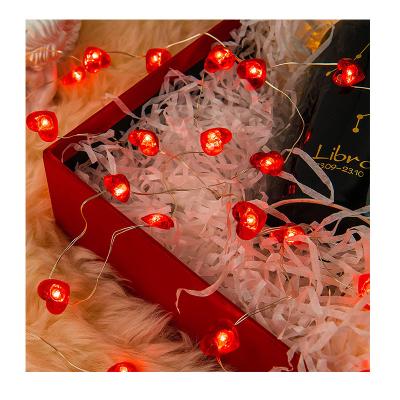 China 2M LED Fairy Lights Battery Operated Wedding Festival Lights for sale