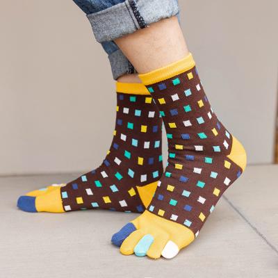 China 2021 Colorful Thick Men QUICK DRY Five Toe Slip Socks Autumn Winter Rainbow Crew Anti Cotton Plaid Fashion Sports Wholesale High Quality for sale