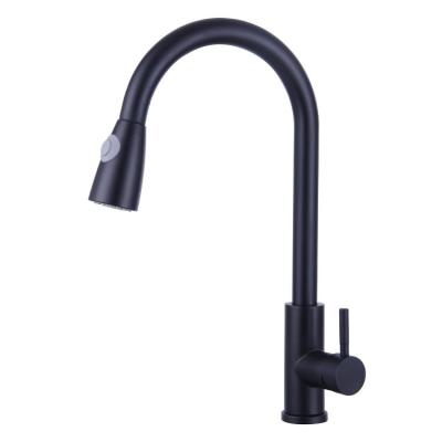 China 2021 Modern New Products Hot And Cold Kitchen Faucet Black Color Clearance 304 Dual Use Faucet for sale