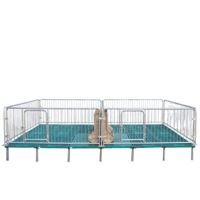 China Add thick galvanized pipe farrowing crates and compound pig bed legs farm equipment new for sale for sale