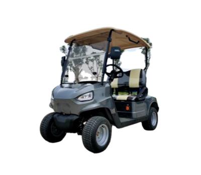 China New best-selling Chinese made cheap and easy to operate low speed car mini golf electric golf cart 205/50-10 for sale