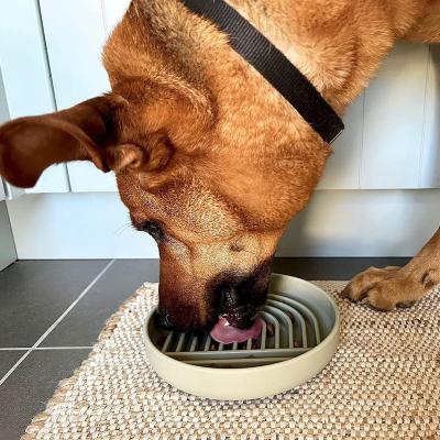 China Stocked the new best-selling wholesale high quality durable puzzle and slow driver silicone dog bowl with suction cups for sale