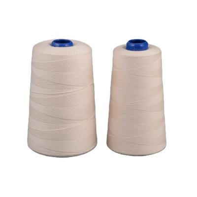 China High tenacity thick cotton sewing thread with mercerized for sale