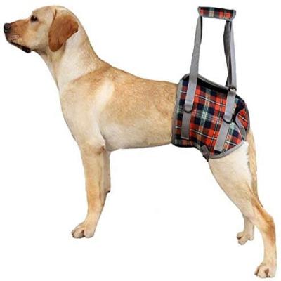 China Padded Adjustable Pet Rehabilitation Manufacturer Launch Back Leg Dog Lift Support Harness for sale