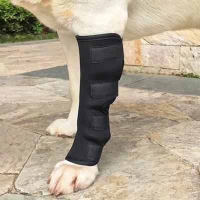 China Custom Private Label Adjustable Elastic Breathable Knee Pad Neoprene Dog Leg Hot Selling Animal Braces for sale