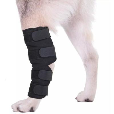 China Hot Selling High Quality Breathable Adjustable Elastic Dog Knee Heal Compression Brace Neoprene Leg Sleeves for sale