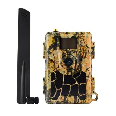 China Cheapest 4.8CG 4G SIM Card Weather-Resistant Video Cellular Network Hunting Outdoor Wild Trail Camera WiFi FHD Game Camera With Night Vision for sale