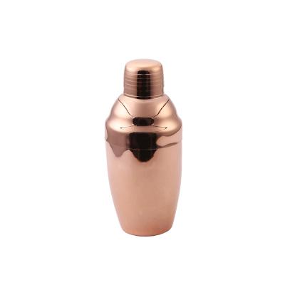 China Custom Metal Bar Bottle Shaker Steel Stainless Cocktail Champagne Shaker Bottle for sale