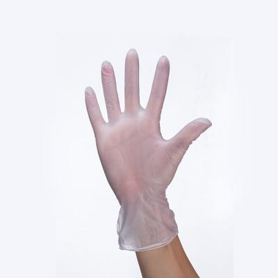 China Work Protective PVC Powder White Card Nitrile Gloves Clear Household Vinyl Plastic Gloves for sale