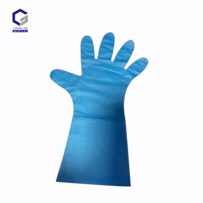 China China Strip Plastic Gloves Comfortable Eco Friendly Household Disposable Gloves for sale